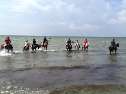 IMG_1357_web